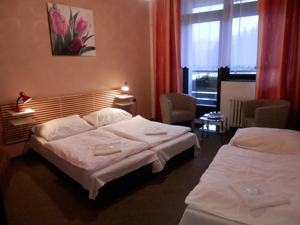 Pension Mona Гаррахов Номер фото